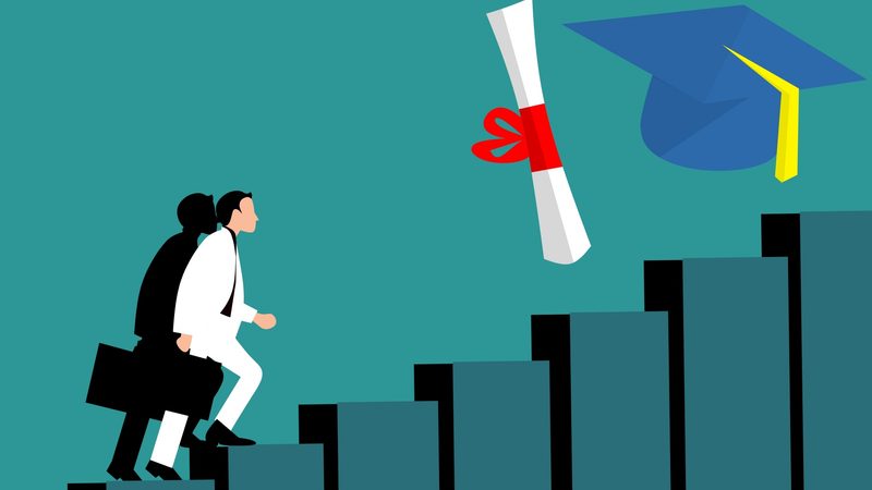整站优化与SEO：本质区别与实操要点